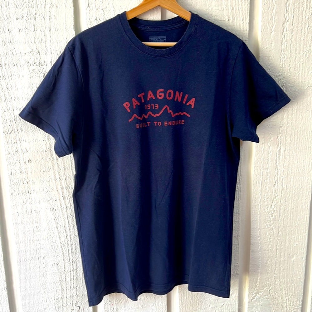 Patagonia T-Shirt —2/$30!